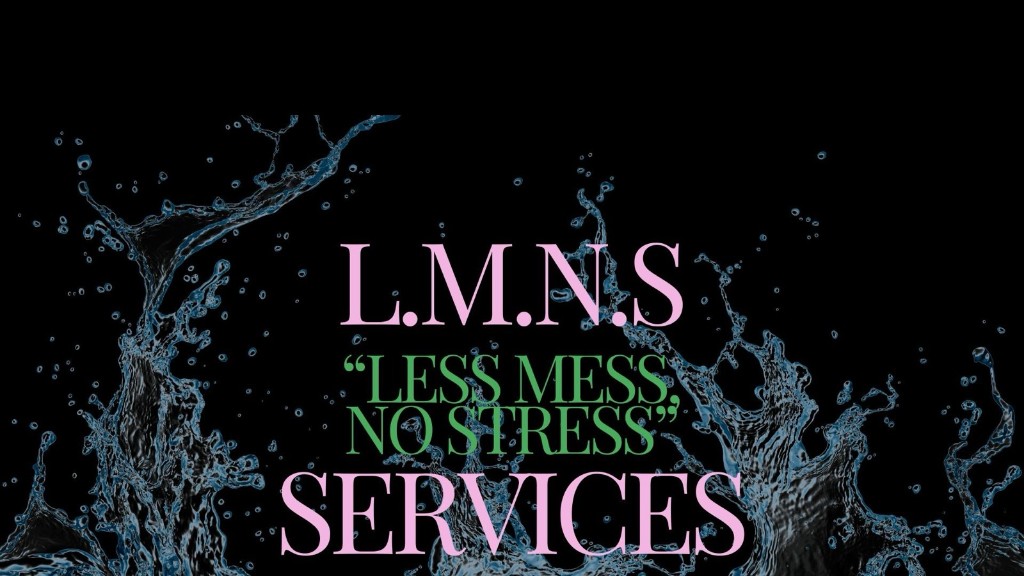 LMNS Services logo variant on dark background